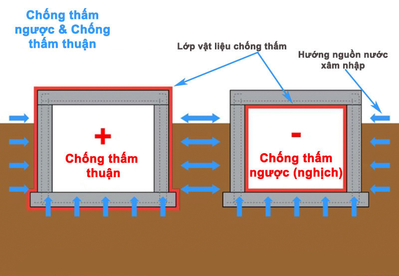 chong-tham-nguoc